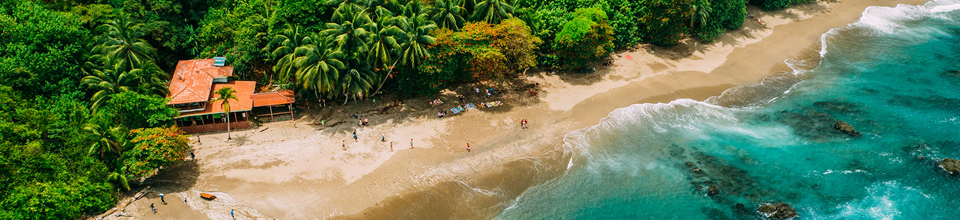 A tropical coastline viewed from above, with a sandy beach and lush palm trees.